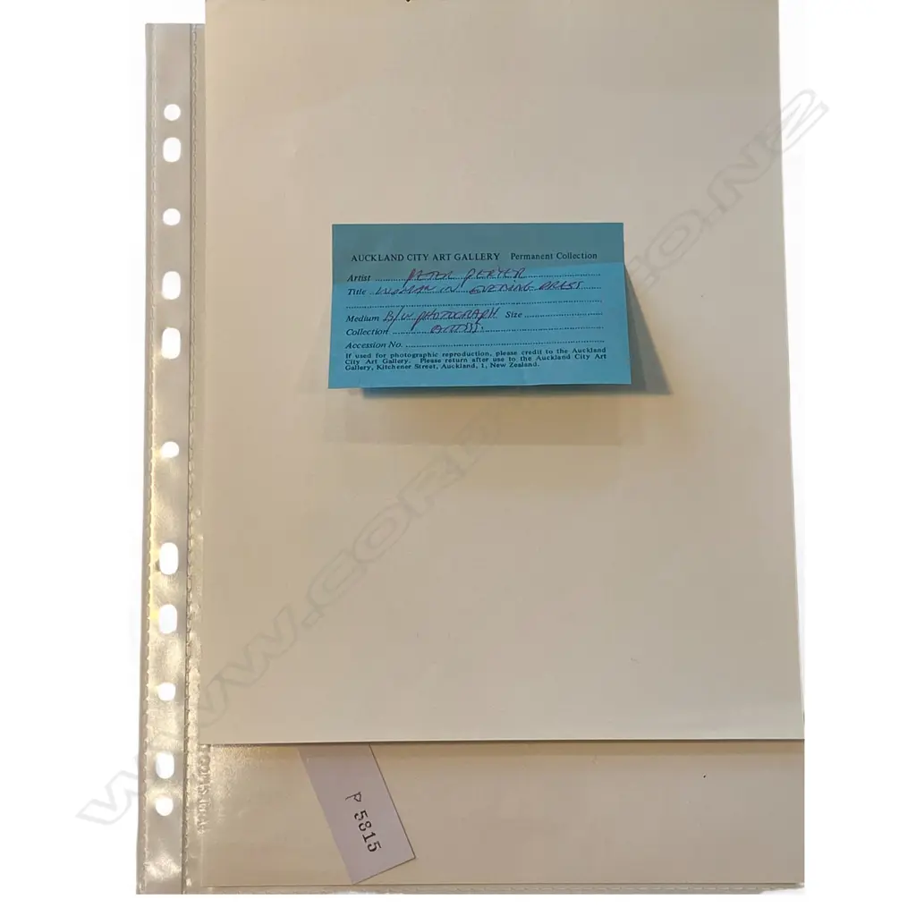 Peter Peryer ‘Erika - Woman in evening dress', Image 1++